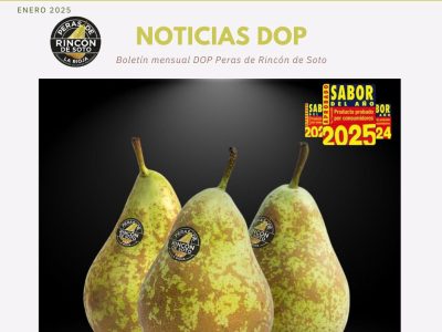 Boletín de noticias de Enero