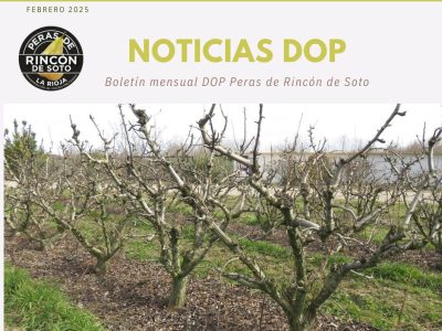 Boletín de noticias de Febrero
