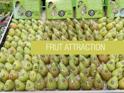 La Pera de Rincón de Soto, protagonist for another year at Fruit Attraction 2025 