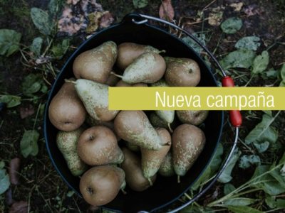 We start the campaign with a harvest forecast of 21 Millions of kilos
