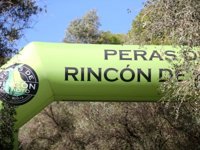 Boletín de noticias de Noviembre