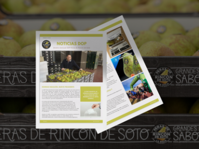 Boletín de noticias de Marzo
