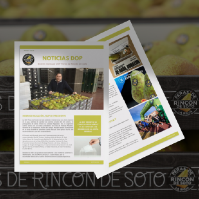 Boletín de noticias de Marzo