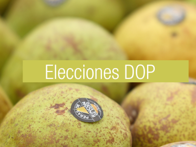 Rodrigo Mauleón Ajona, nuevo presidente de la DOP Peras de Rincón de Soto